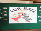 Furball 2013